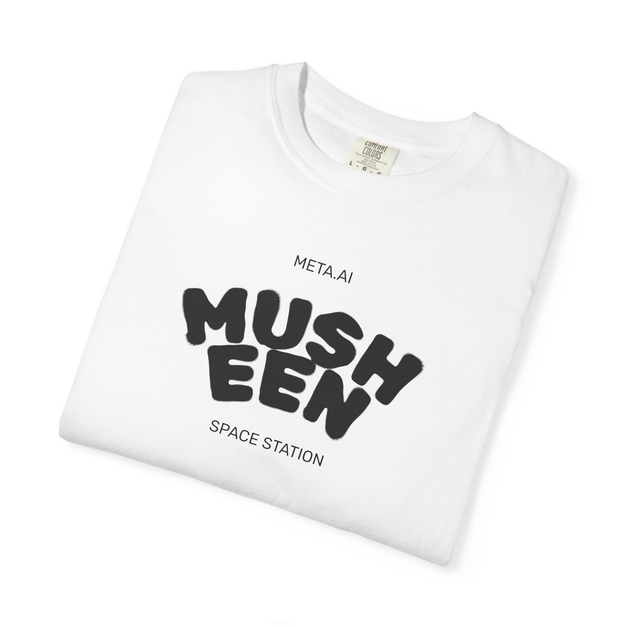Musheen Meta Space Station