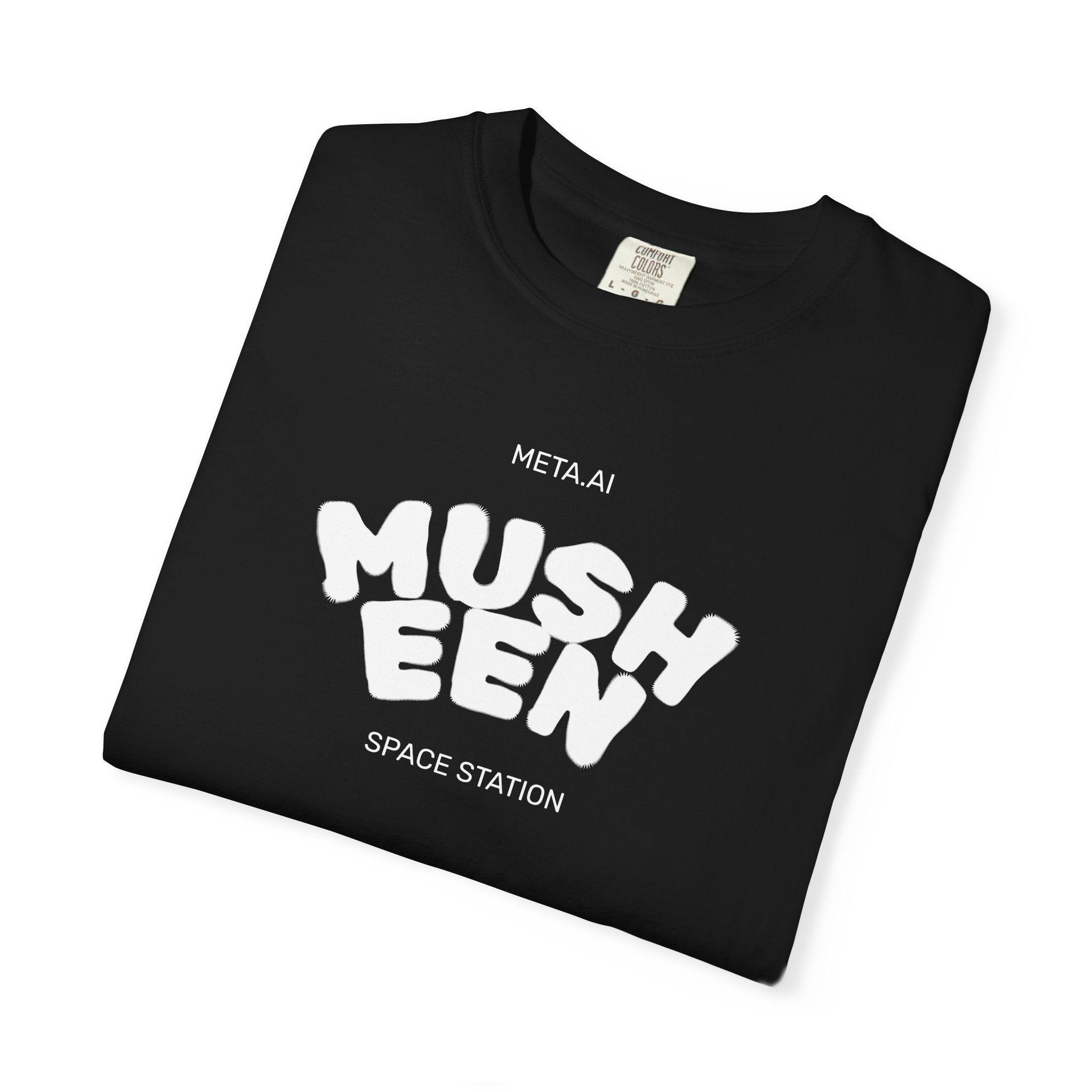 Musheen Meta Space Station